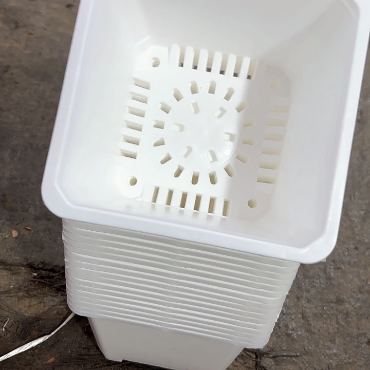 160白方盆15公分高11公分20个