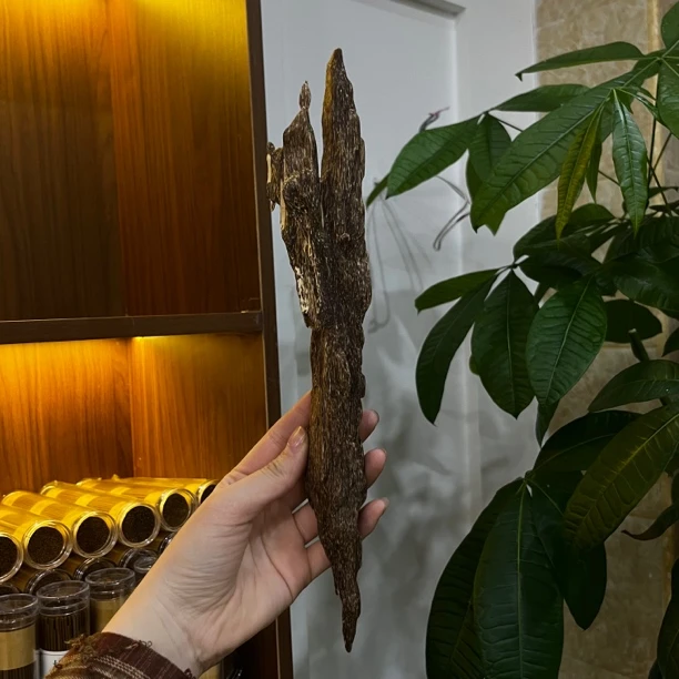 【财老板沉香】海南虫漏沉香摆件53克+多样性发其一