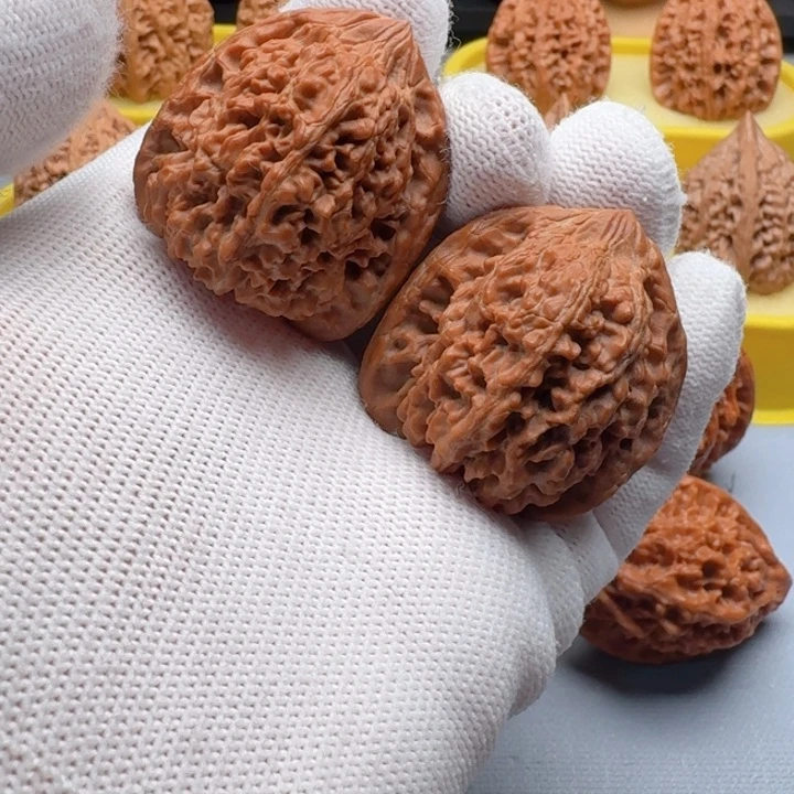 核桃福利满天星小手捻