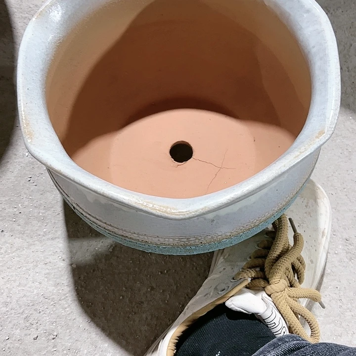 红陶口径26高度18一只小瑕疵不挑