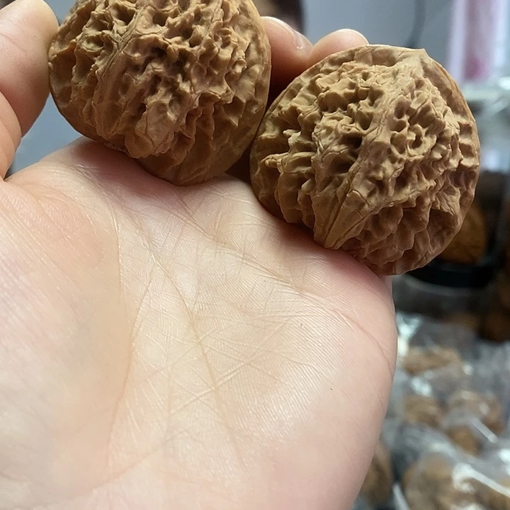 文玩核桃把件44老树蟠龙纹
