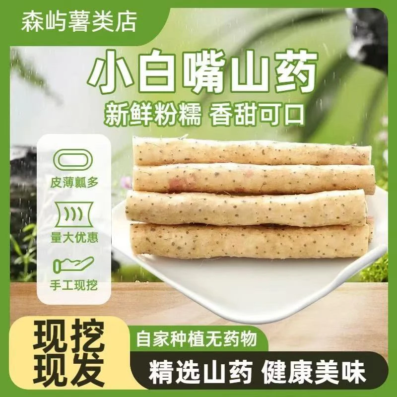 正宗蠡县小白嘴山药纯天然产地直发新鲜正宗软糯香甜宝宝辅食营养
