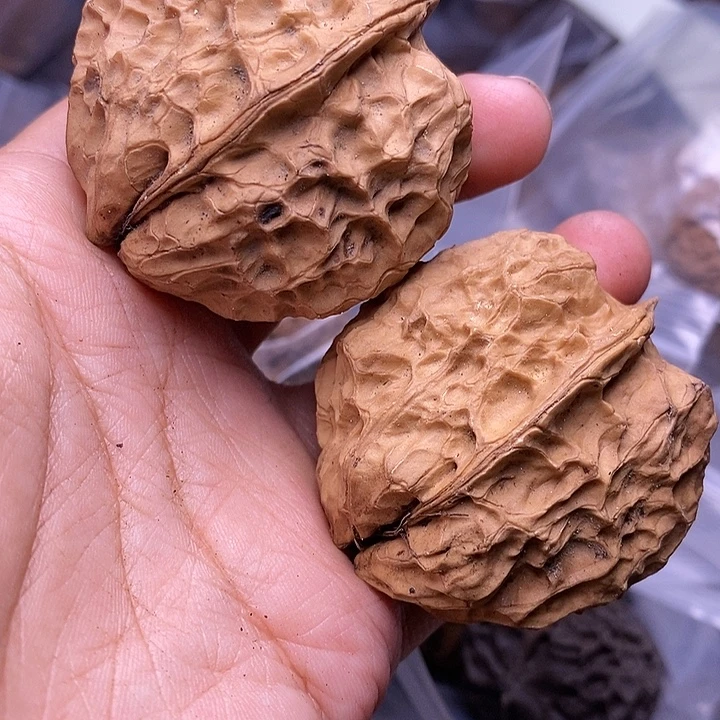 把件文玩核桃   240