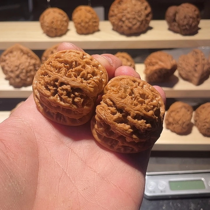 大粗筋狮子头全品