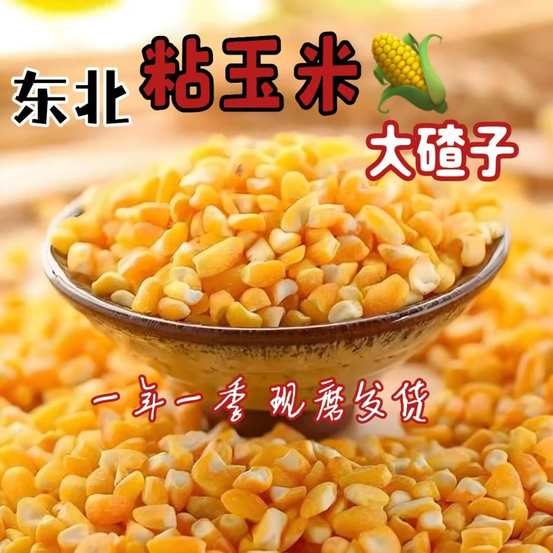 粘大碴子东北特产粘玉米碴粘大碴子大碴粥软烂香甜农家五谷杂粮