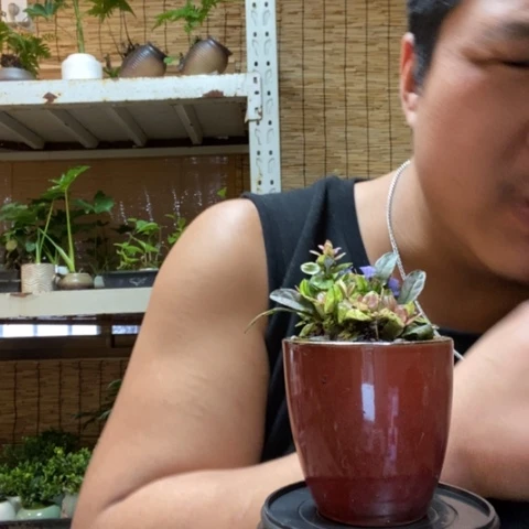 红陶尽*一物一拍所见即所得180