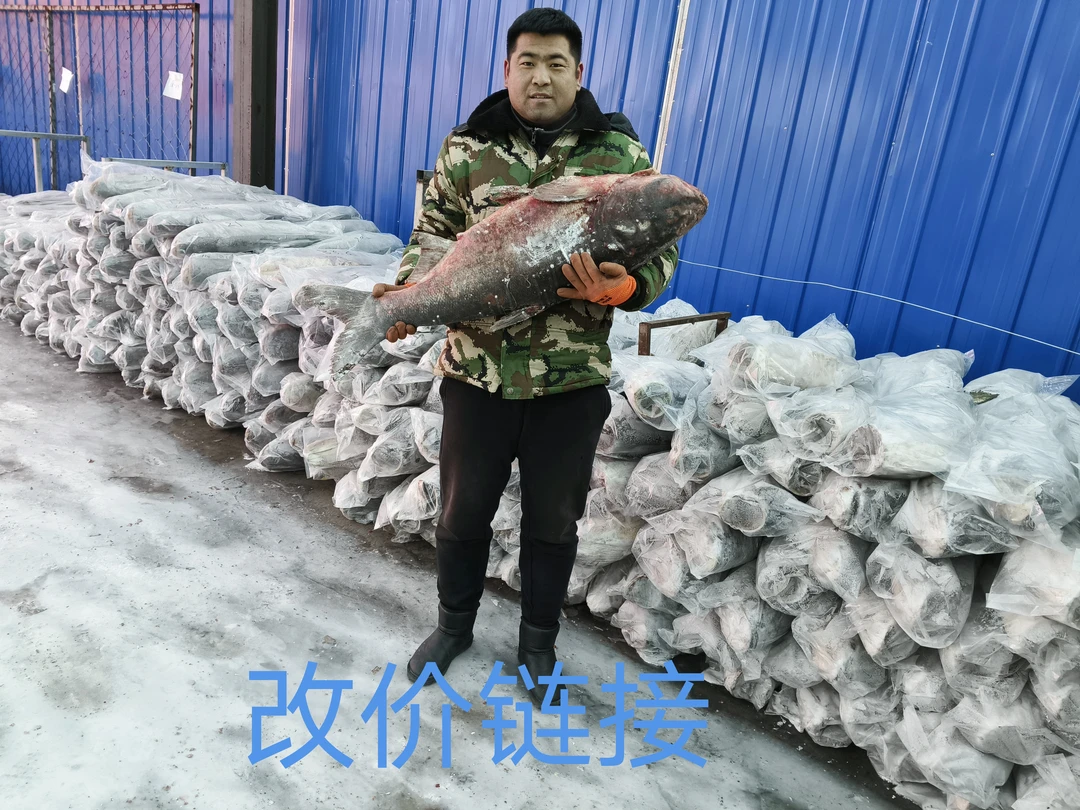 大胖头鱼现场改价