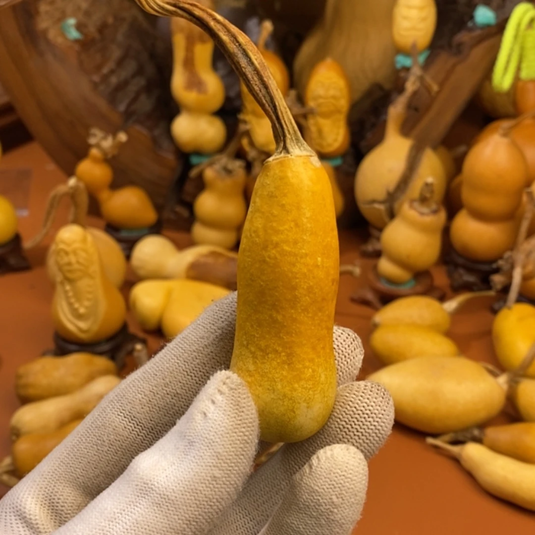 飞****距离教练咯教练教练咯教练