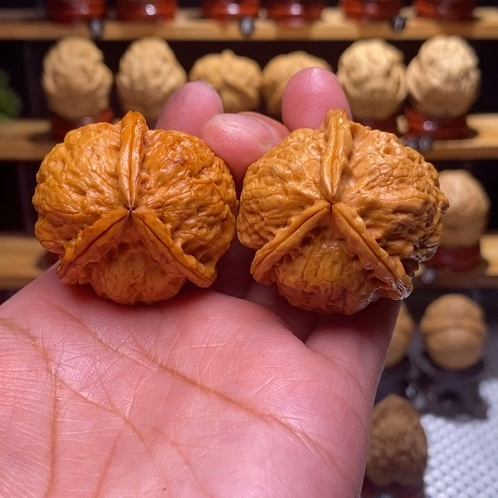 木质类云铁紫蛹三棱71号