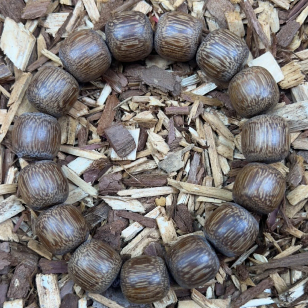30 福来精选文玩沉香木作手串14mm