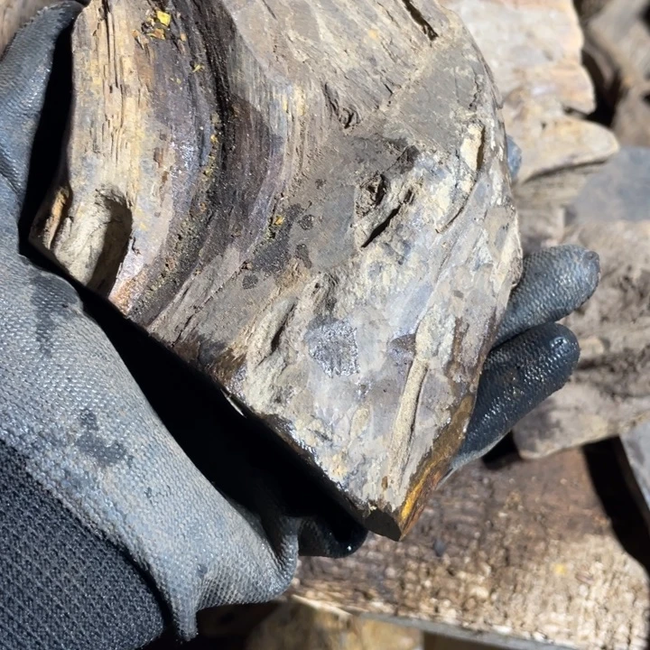 l***6贡木手串感谢大家