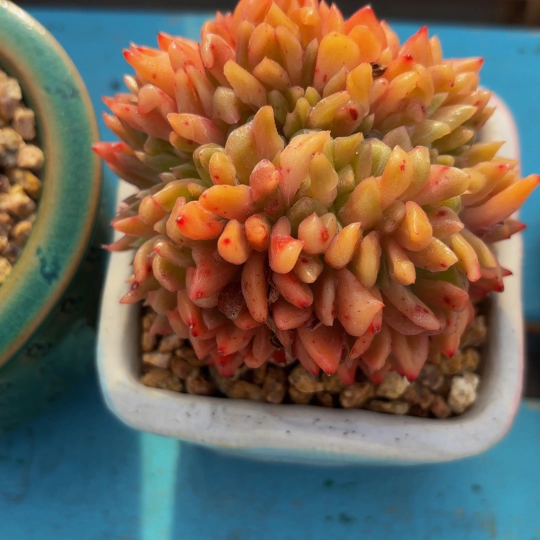 Jhjkjjjhvvgjjjjhhjjj