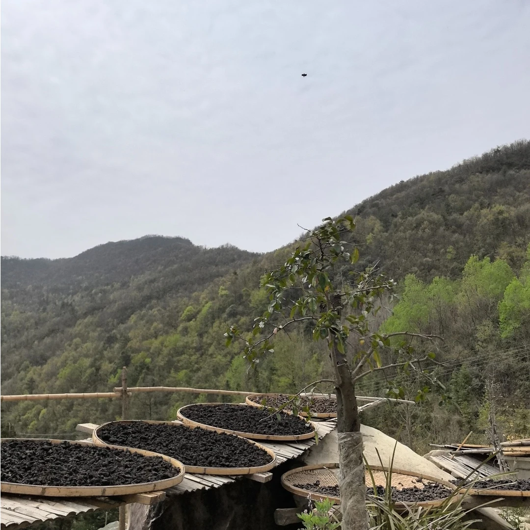 武当特产手工古法山里阳光晒九次柴火蒸九次自然味道可配枣仙入粮