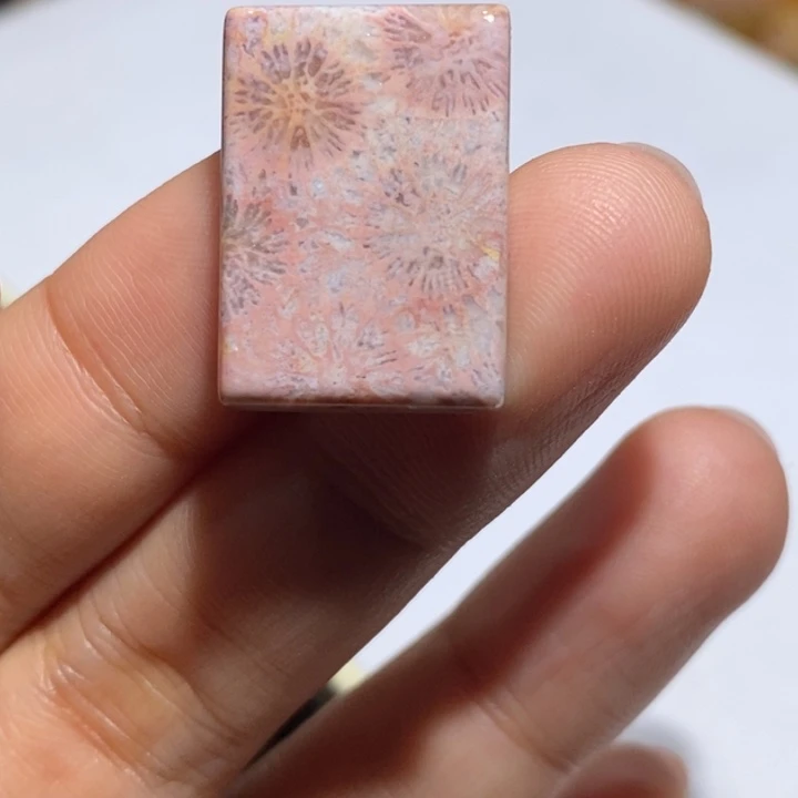 【闪购商品】未镶嵌珊瑚玉硅化玉