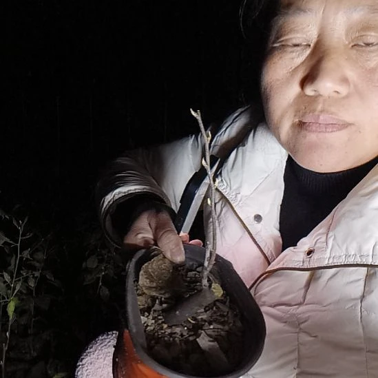 @***秋无花朵123585688898