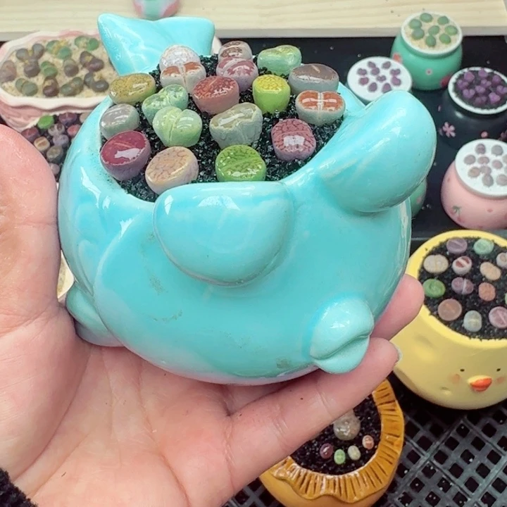 530零下地区记得拍保温箱