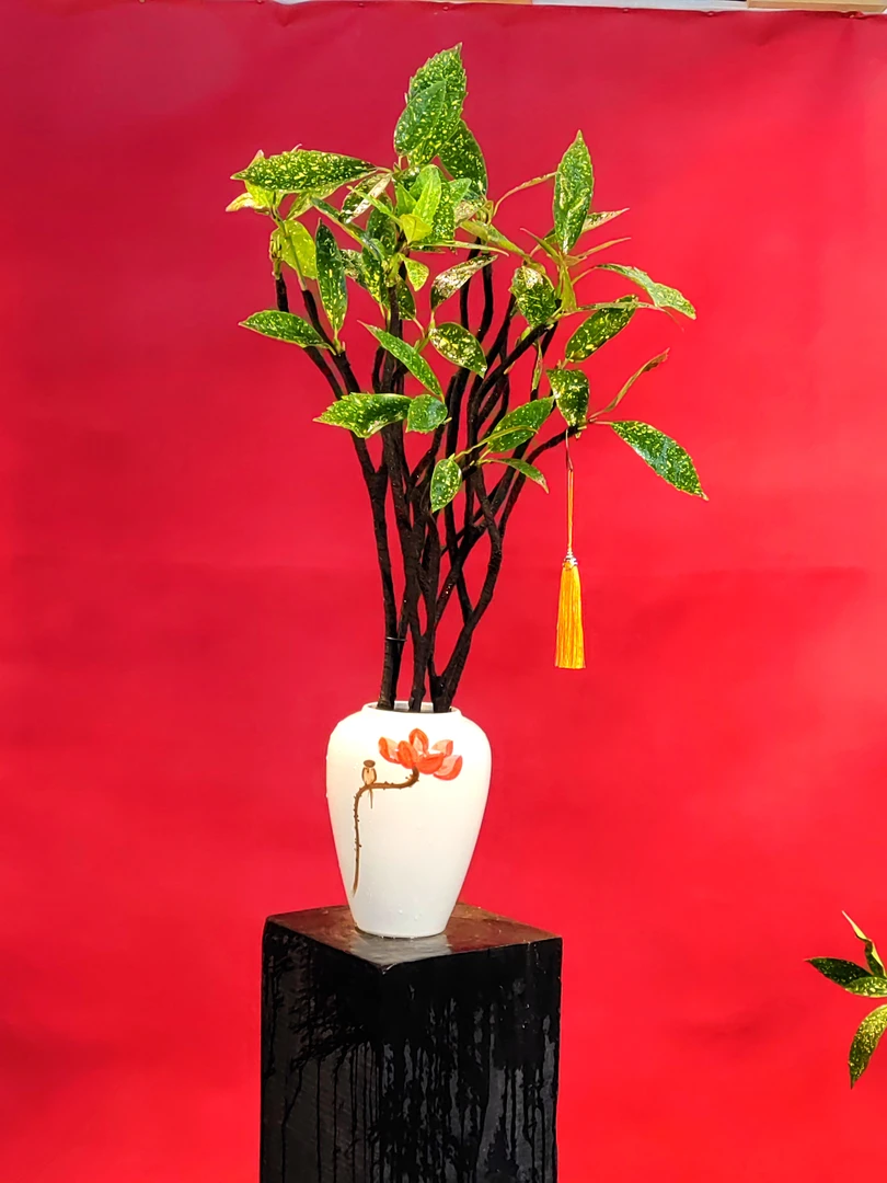 禅意风撒金珊瑚造型盆栽，叶美花艳果趣，四季常青，适合室内摆放。