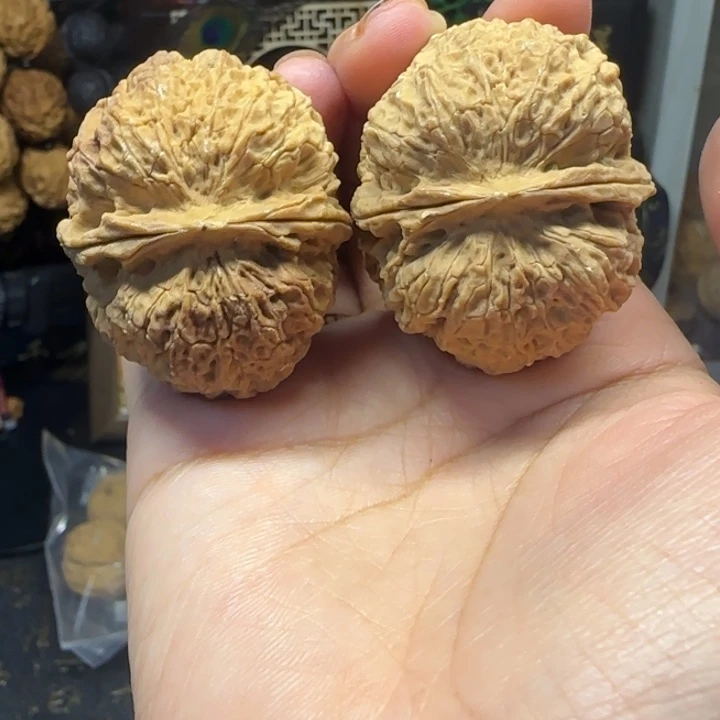 吊坠文玩核桃44霸王龙铁狮子