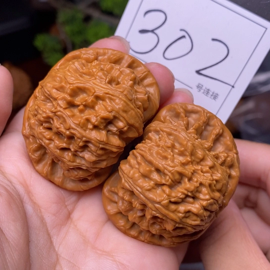 文玩核桃把件302闷尖白狮子头4.6