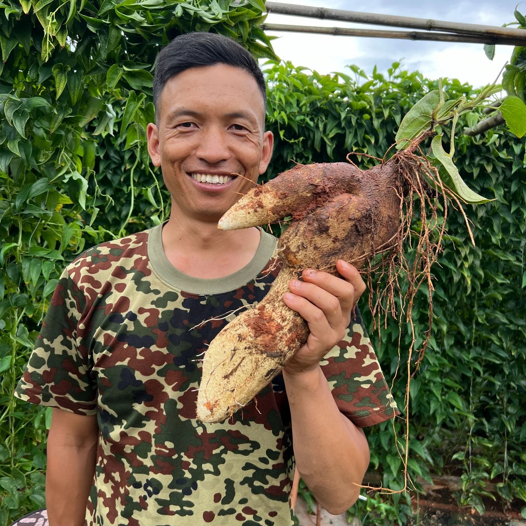 云南佛手山药 脚板山药 灵芝山药3/5/9斤会有破皮 小伤口介意不拍