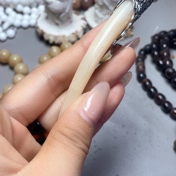 大果紫檀（缅甸花梨）