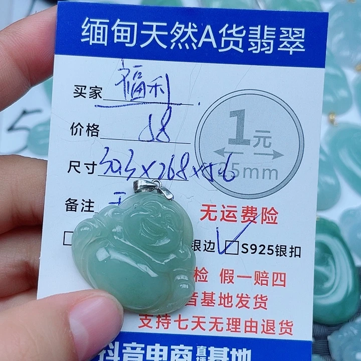 翡翠银S925镶嵌颈饰翡翠