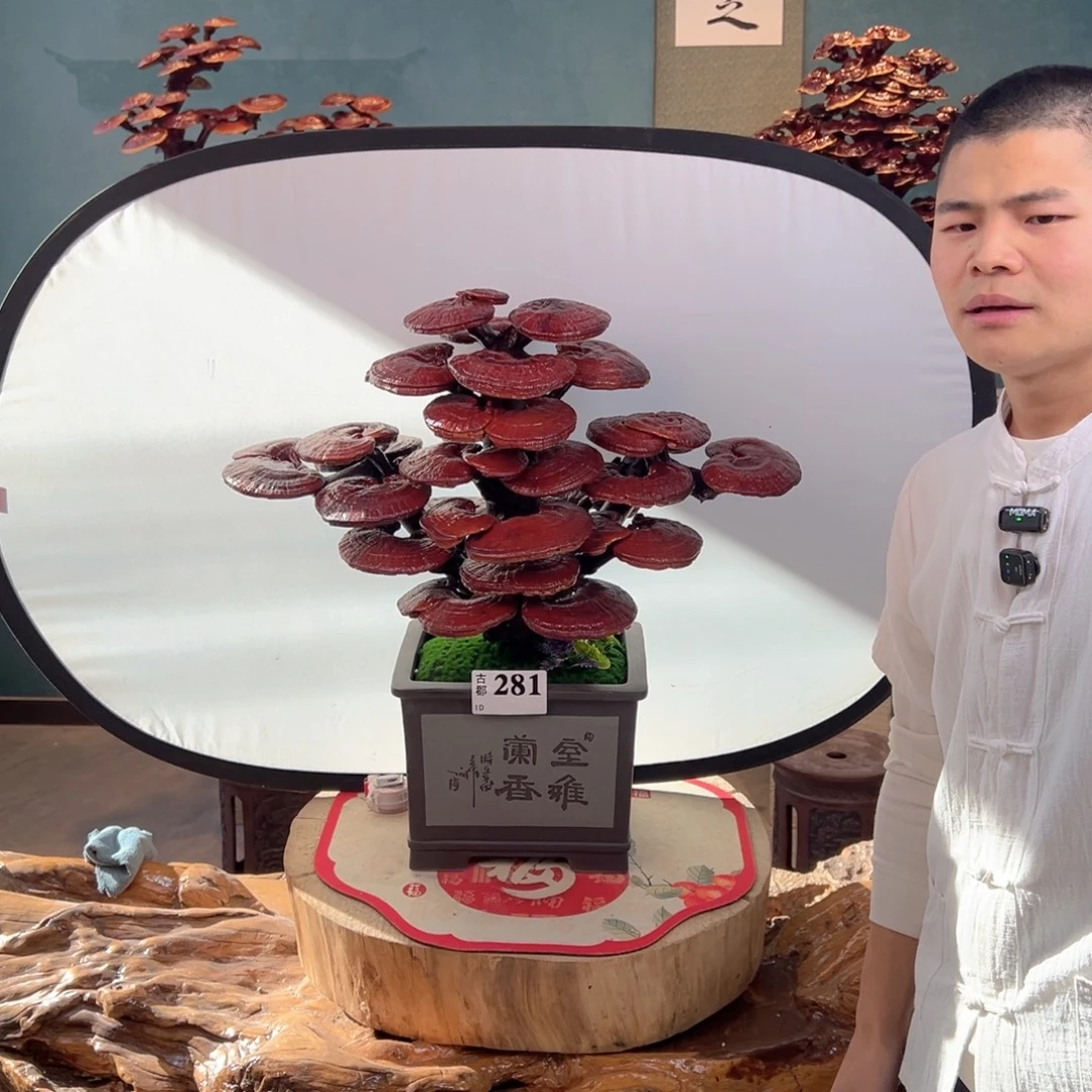 无花朵888888888888