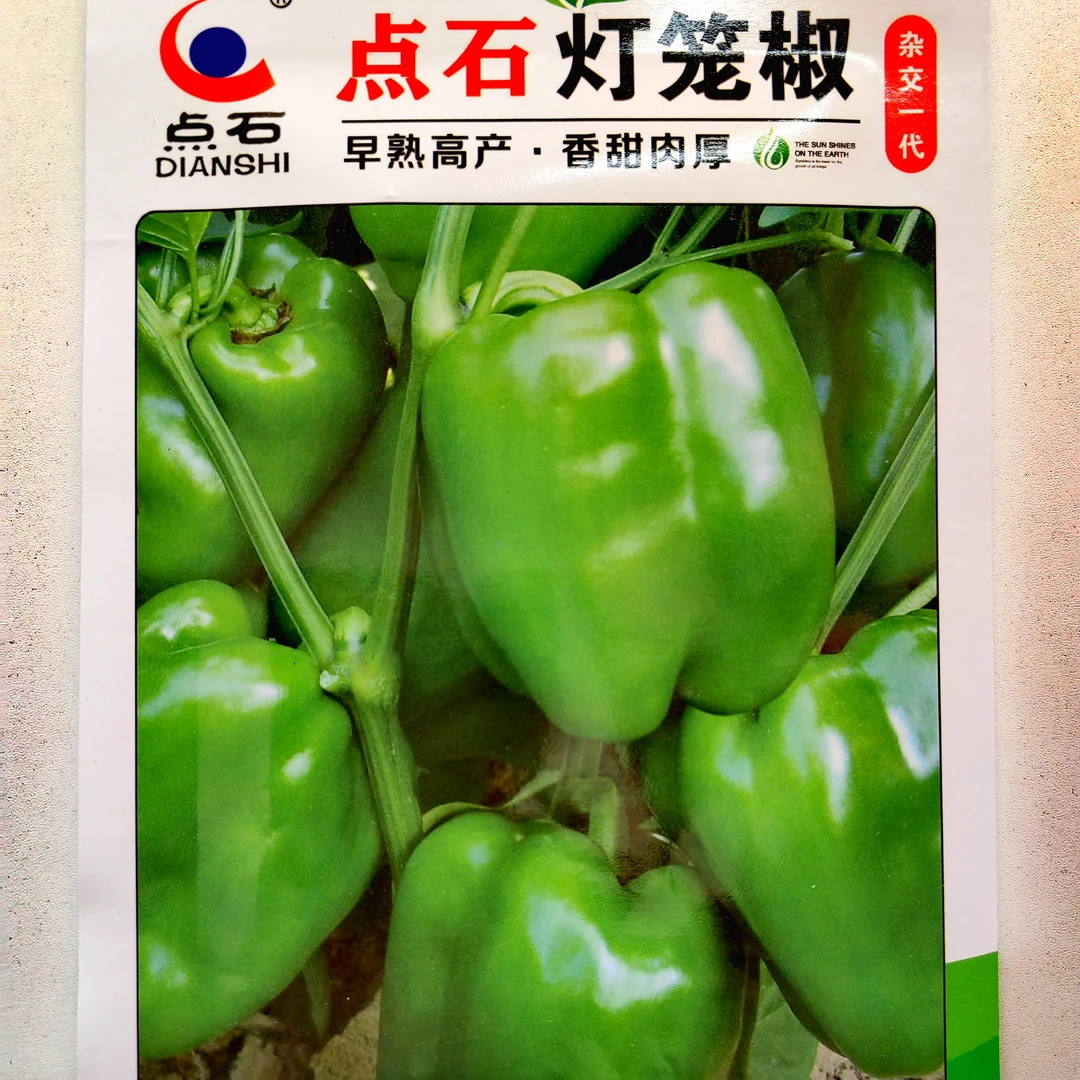 点石灯笼椒甜椒种子