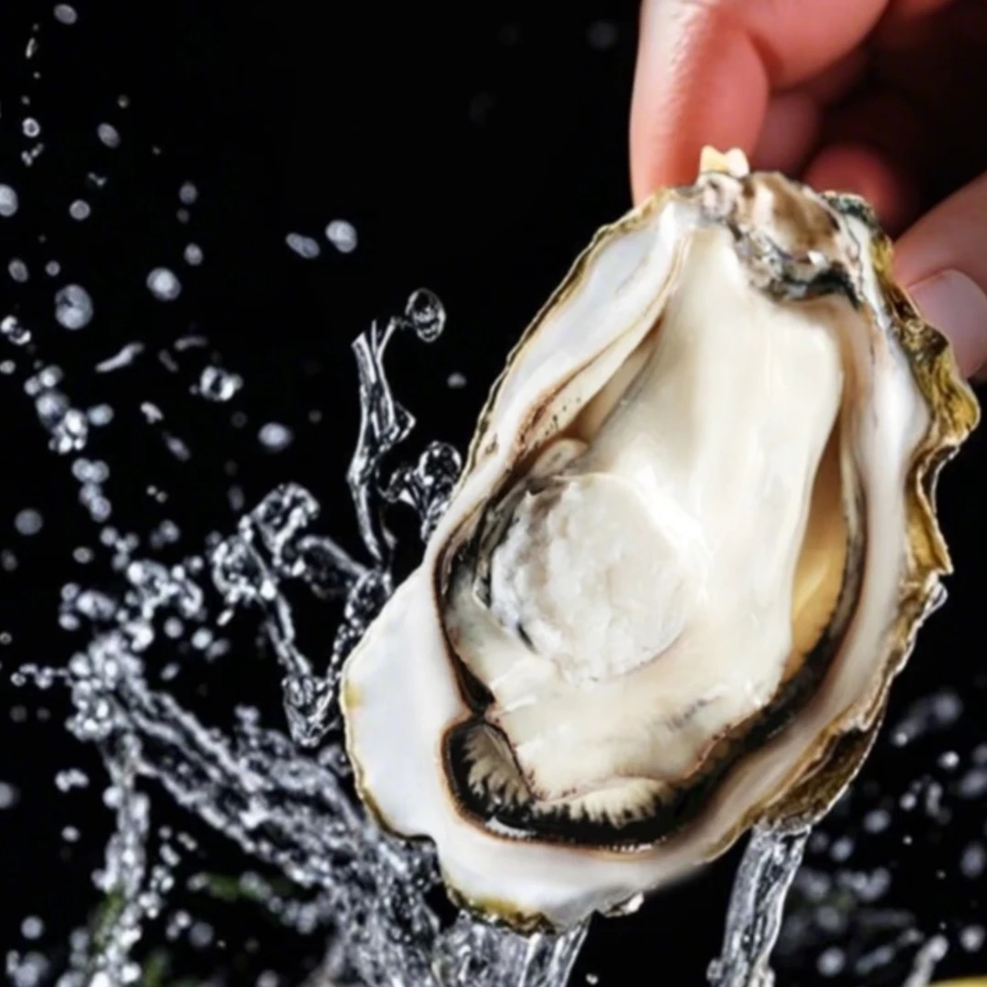 乳山金标牛奶大生蚝一只