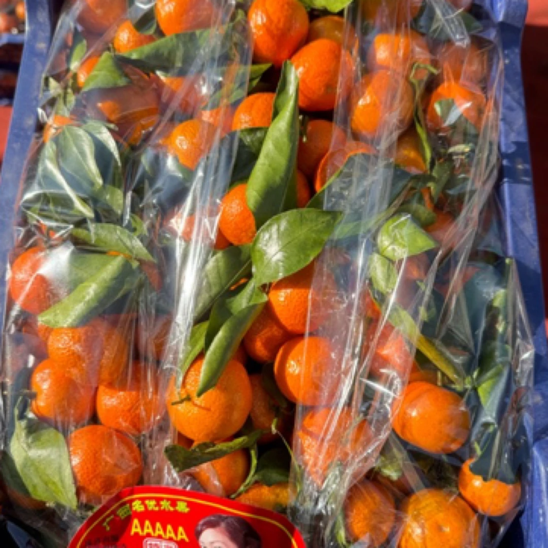 广西砂糖橘十斤装
