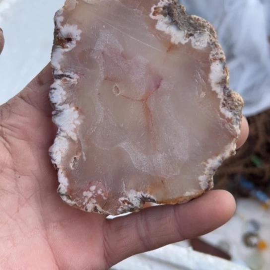 双***鱼杂色豆（科檀/科特迪瓦檀木）