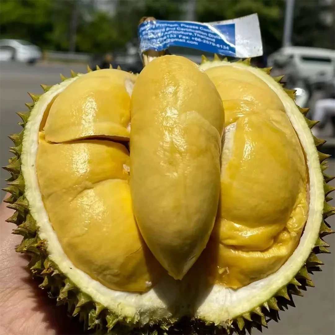 A果泰国甲仑新鲜榴莲约3-3.5斤整果核大肉小软糯香甜甲仑泰国