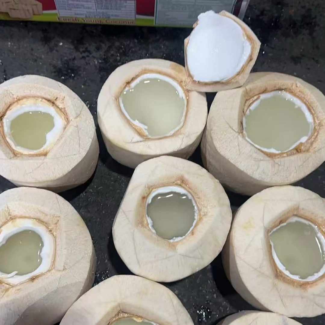 耐斯泰国香水椰青大果新鲜椰子整箱孕妇水果当季奶香