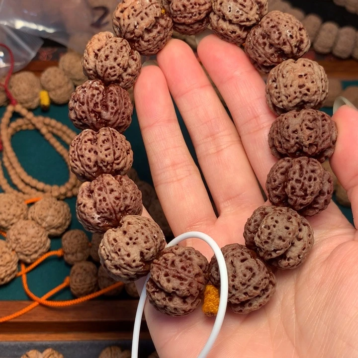 金刚菩提手串用****122尺寸龙牙头货