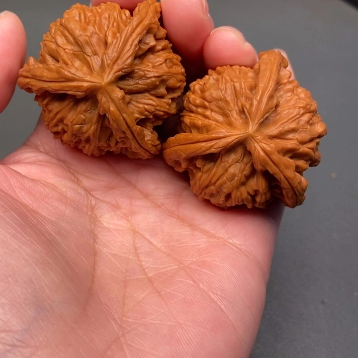 K***.木质类核桃核桃核桃