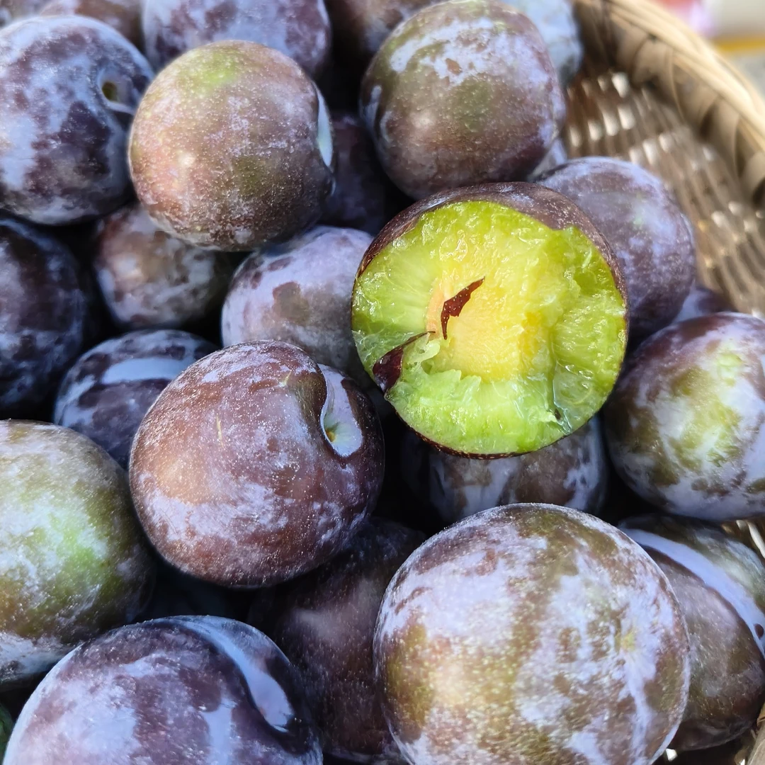 五月脆凤凰李新鲜现摘脱骨脆甜多汁应季水果5斤起包邮