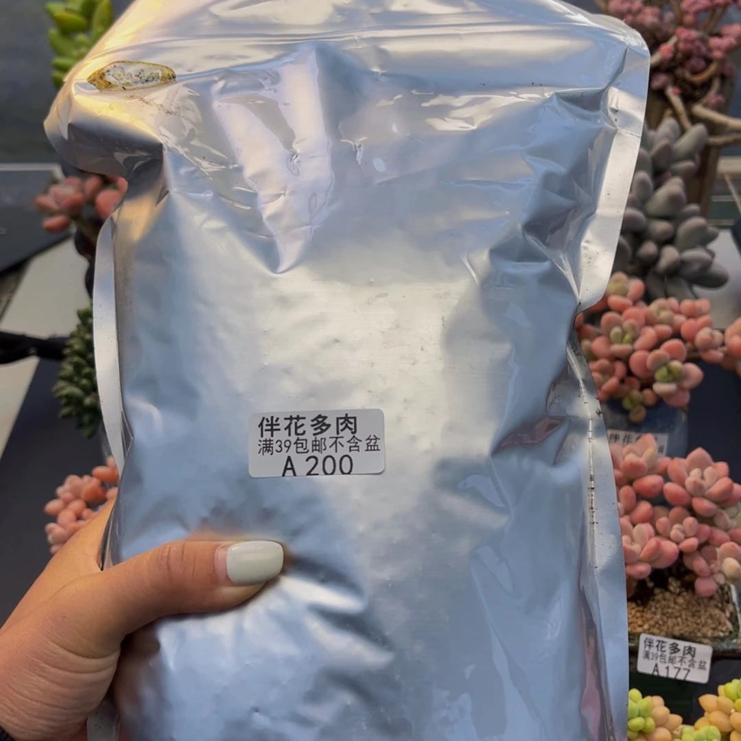 200-多肉种植土2L