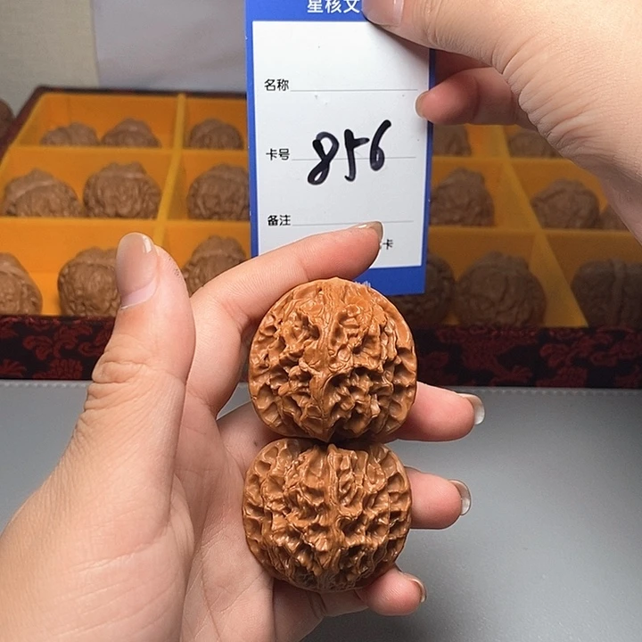 吊坠龙脊菩提苹果园 40