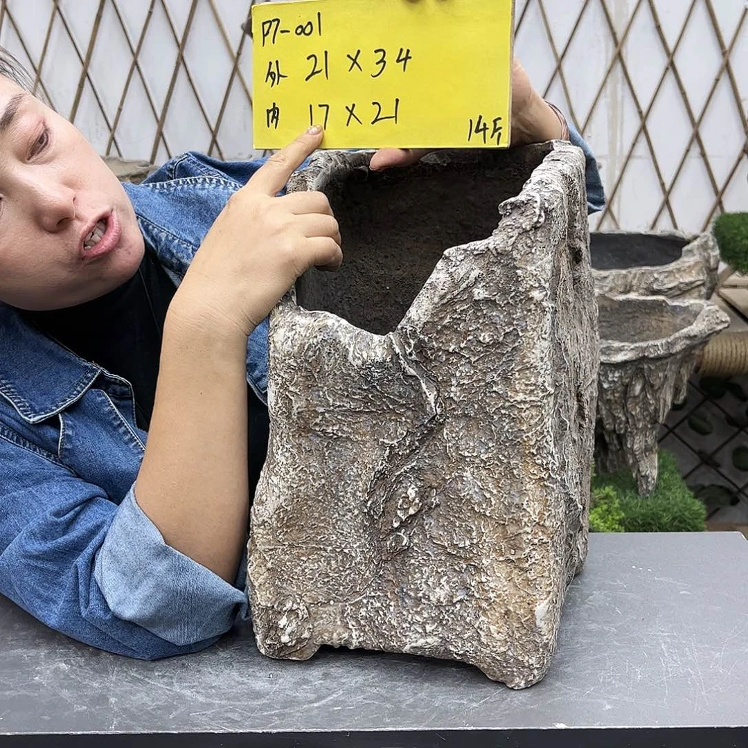 盆景盆花盆鱼缸盆景p7-001