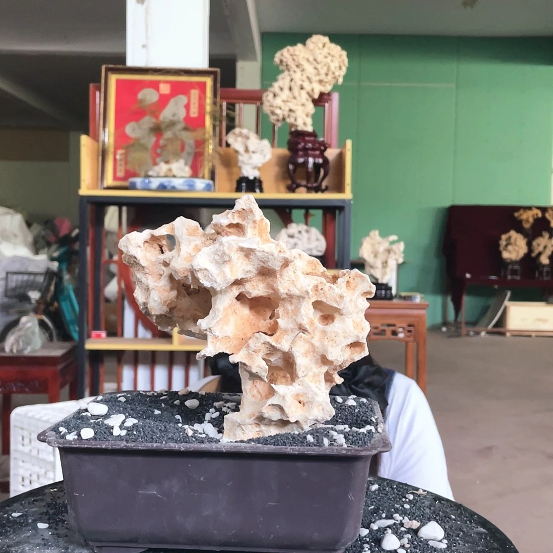 石材不****了5432578889999