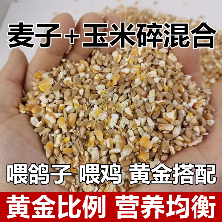 小麦子玉米粒碎喂鸡混合料喂鸽子鹌鹑玉米颗粒营养五谷杂粮食家用