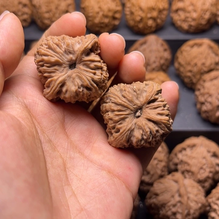 核桃手串/手链亿*南疆