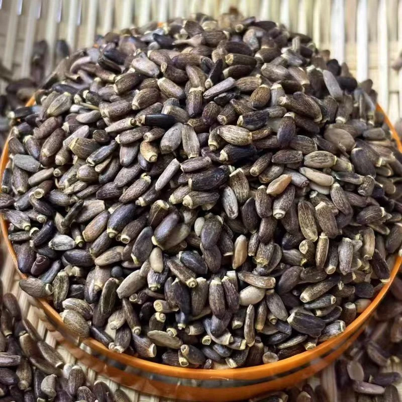 甄选优品高山 【百岁籽】珍藏500g    龙哥专属5