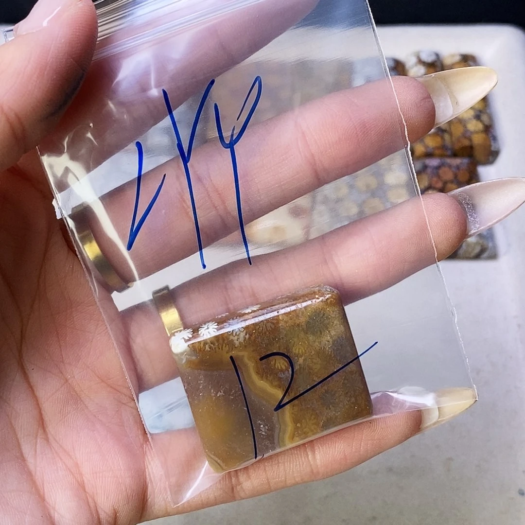 查罗石合金颈饰L*Y