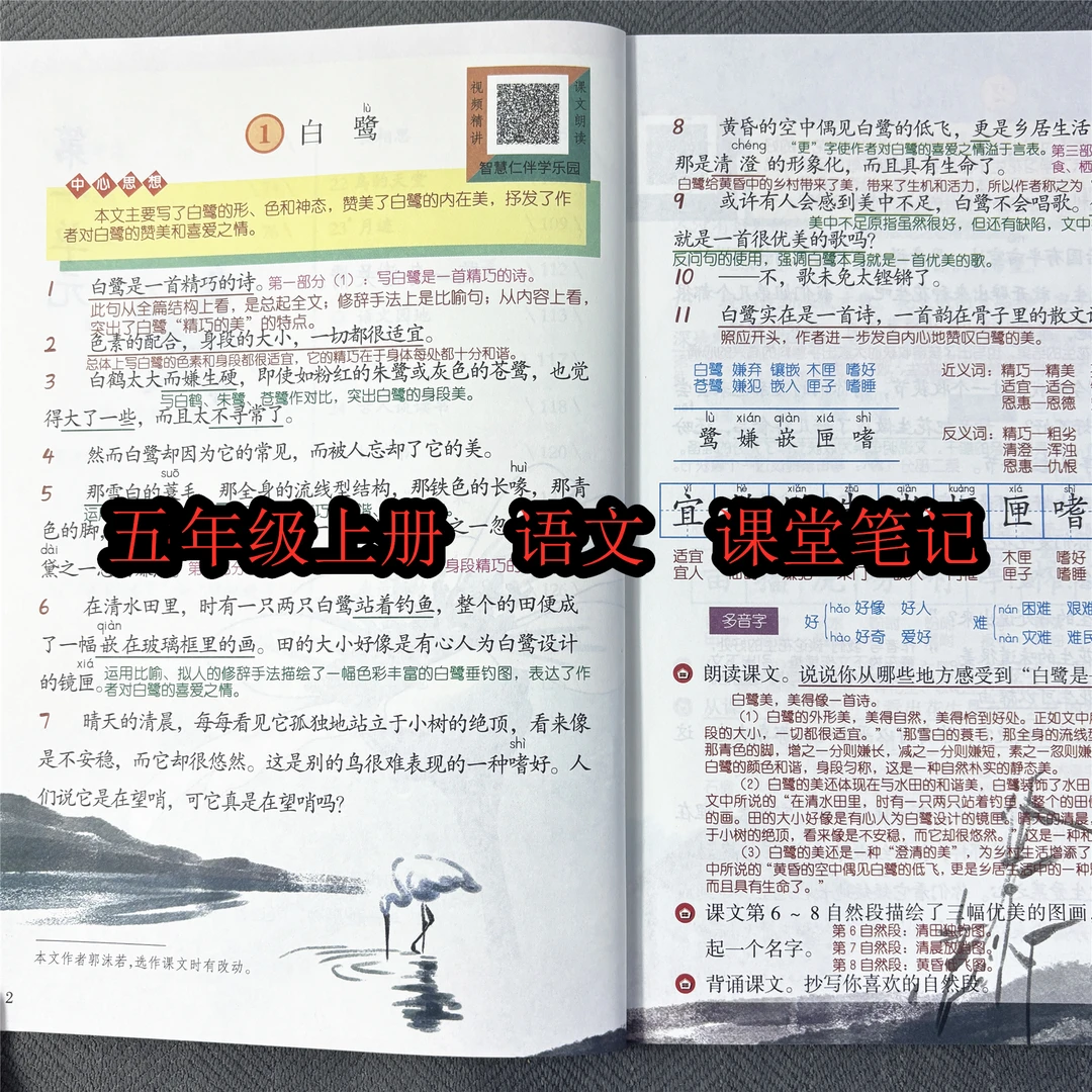 五年级上册语文课堂笔记人教版同步课本教材讲解随堂五年级预习