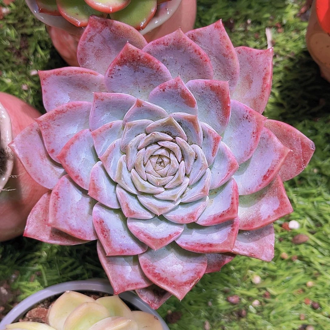 17号78899999999999889