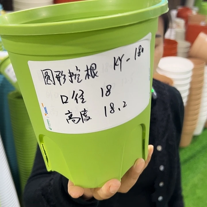 正品圆控口18高18果绿无托8只