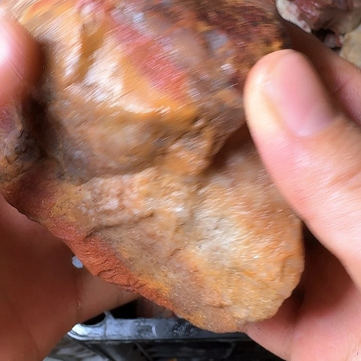 壶***秋寿山石寿山石的种类