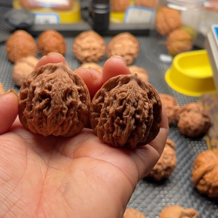 文玩核桃把件全品虎头38