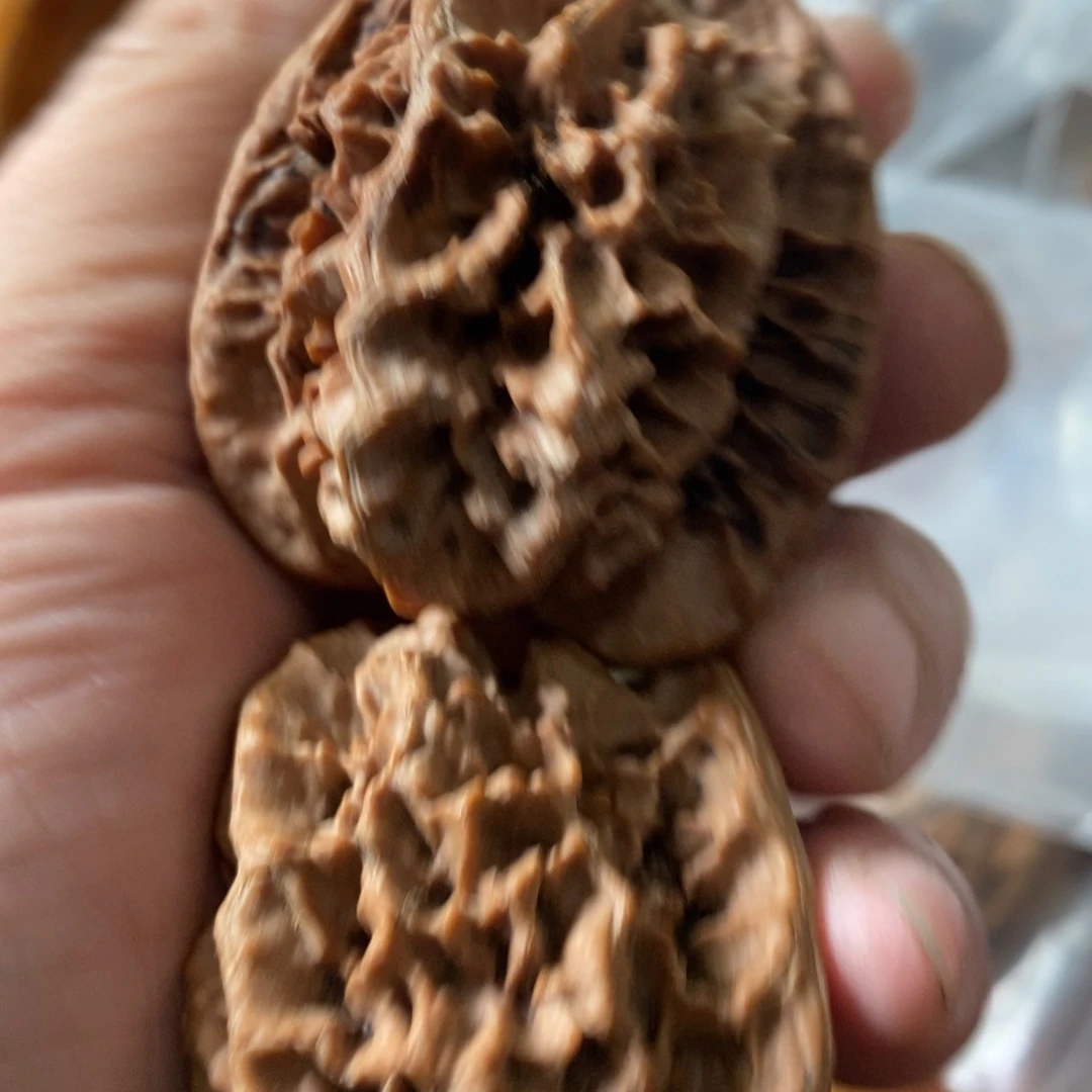 秦岭南侧和东北的区域